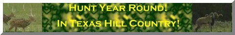 hunt year round in texas hill country