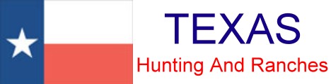 texas hunting and ranches